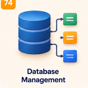 Database Management icon