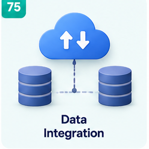 Data Integration icon